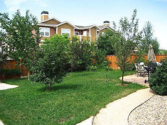 Back Yard View