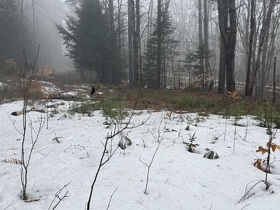 4th image of 3826 Leighton Hill Road