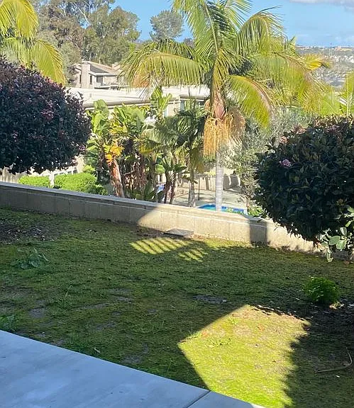 Antone Apartments — Photo 115
