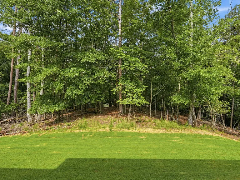 View from Patio