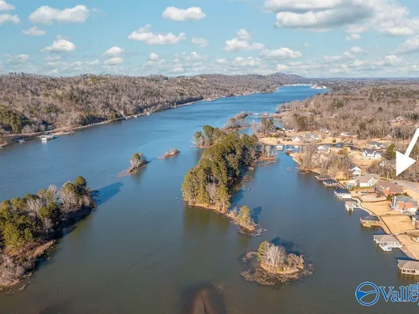 1176 Lake Forest Dr, Southside, AL 35907