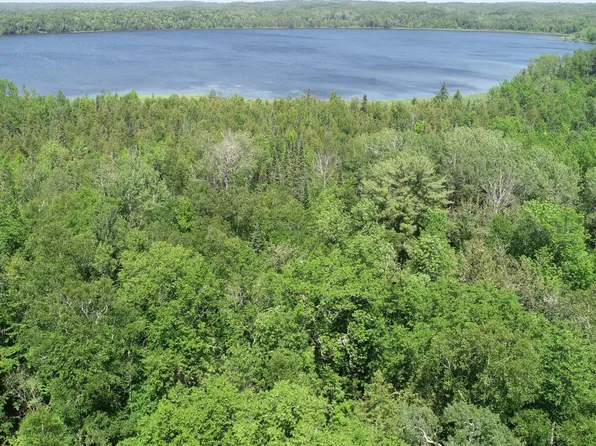 Tbd Rush Island Lake Rd, Deer River, MN 56636
