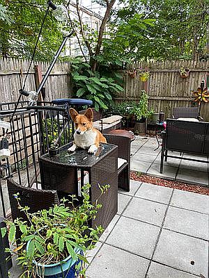3rd image of 475 4th Ave APT 1R