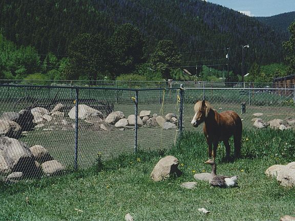 1.89 Acre Horse Property