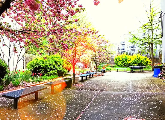 Rented by Douglas Elliman | media 42