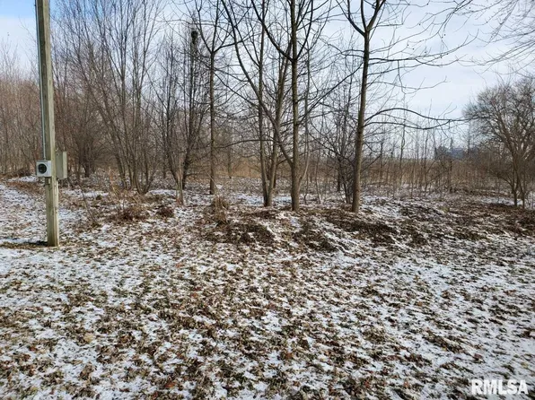 321 E Elm St, Tremont, IL 61568