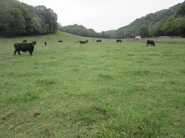 2369 Alexandria To Dismal Rd, Liberty, TN 37095