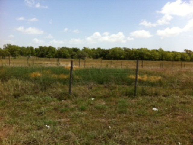 1st image of 4945 County Road 208