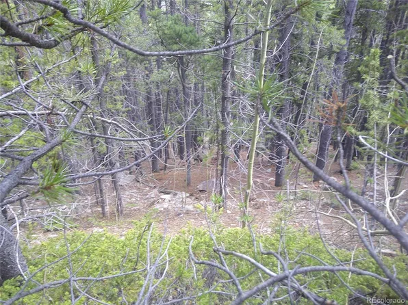 Lot #441 Hillside Road, Idaho Springs, CO 80452