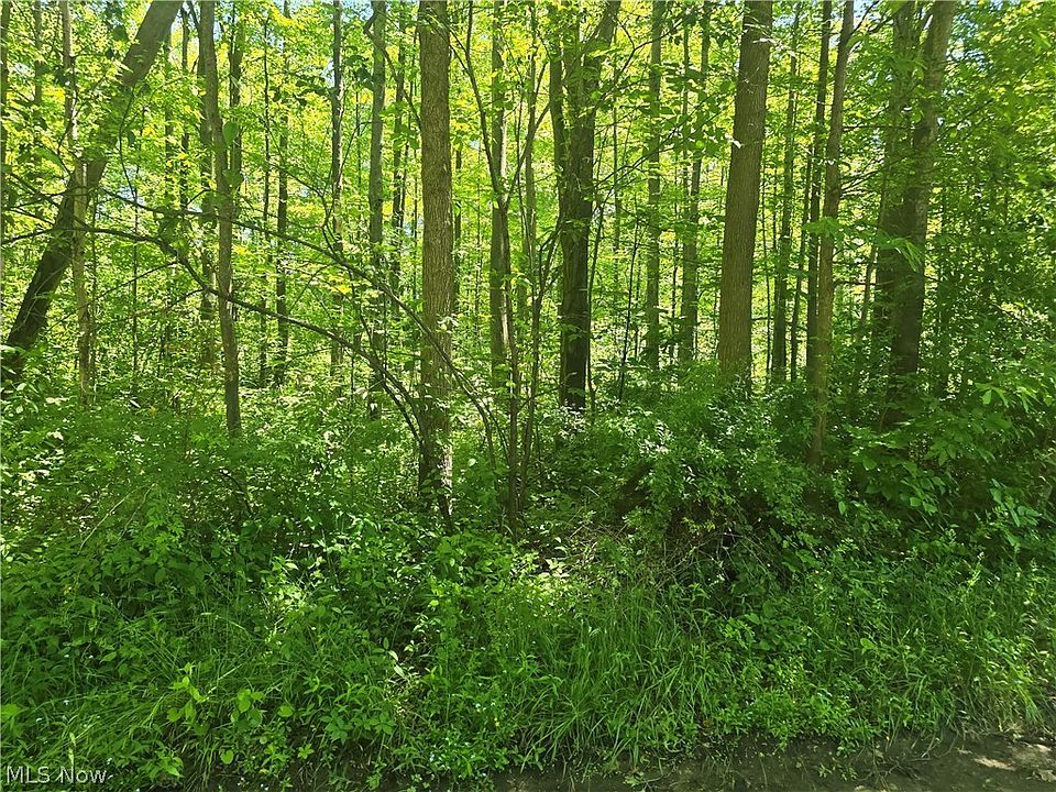 2nd image of Morningside Dr