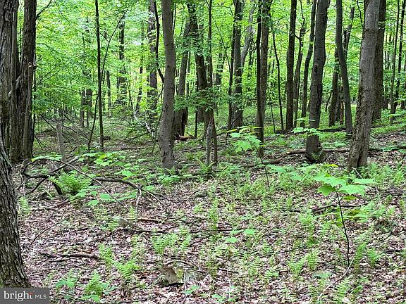 4th image of 4 Wilderness Dr