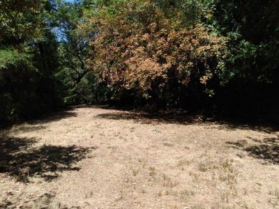 0 Ascending Ln, Phillipsville, CA, 95559