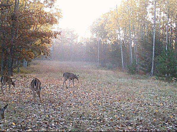 427 Goline Rd, Grayling, MI 49738