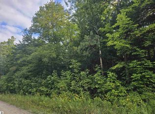 0 Riverview Rd, Mesick, MI 49668