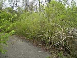2nd image of 173 E Wilson Bridge Rd