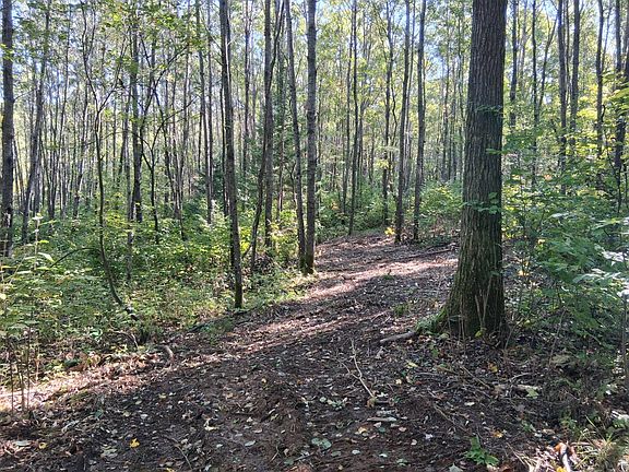 2nd image of 8 National Trail Star Lake Rd