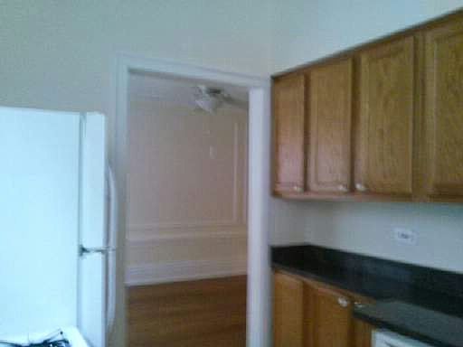 5th image of 230 N. Oak Park Ave. #1K