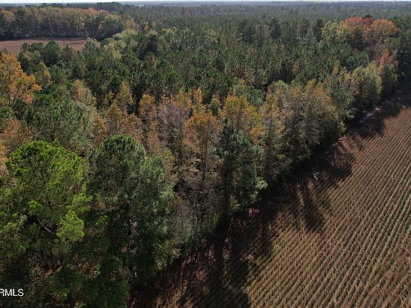 2nd image of Off Harrells Highway