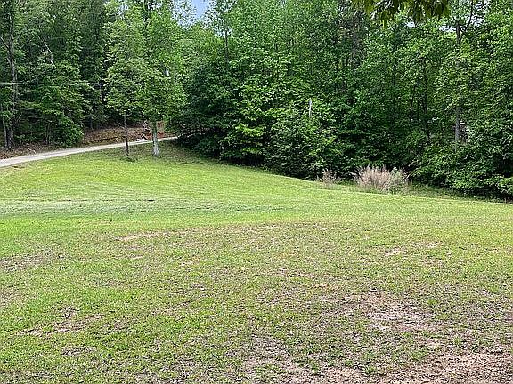 5th image of 115 Brushy Bluff Ln