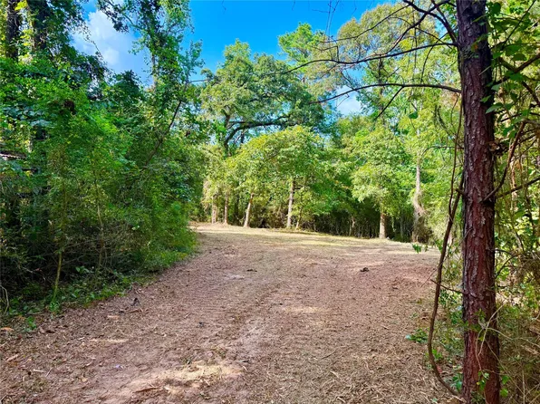 40718 Friartuck Dr, Montgomery, TX 77316