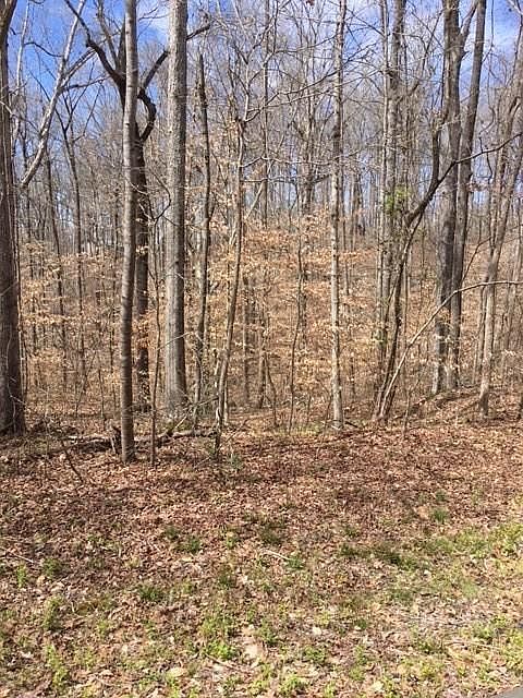 1st image of 1007 Chickasaw Dr