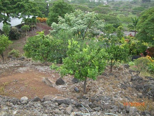 5th image of 75-654 Pu Hoaloha Pl Lot 3-D