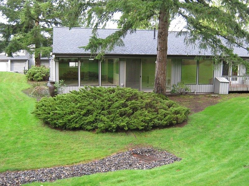 Back of the home showing three windows for the living room, three for the family room and two for the master suite. The entire back yard is landscaped for beauty and privacy.