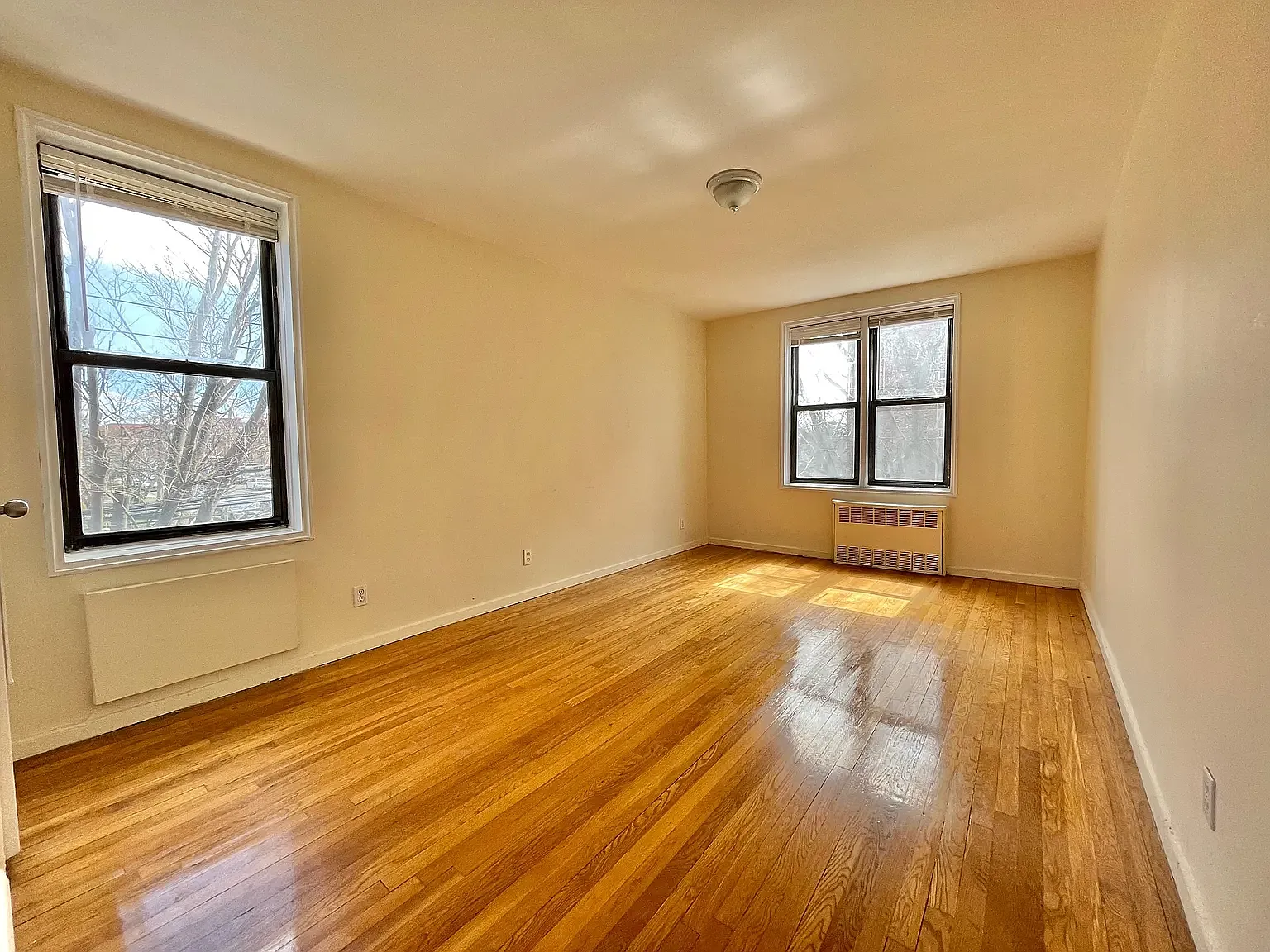 61-61 Woodhaven Blvd — Photo 3