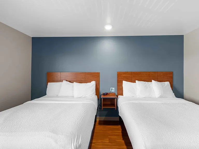 Studio Suite - 2 Queen Beds