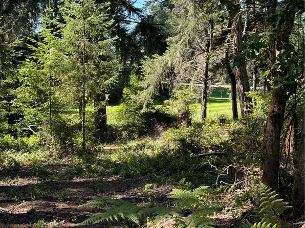 12014 Country Club Drive, Anderson Island, WA 98303