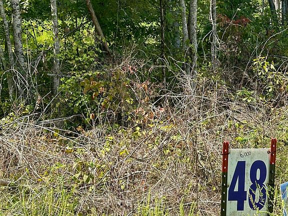 2nd image of 48 Yellowstone Lot Dr