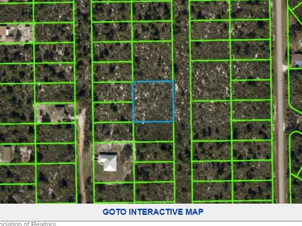 334 Falcon St, Lake Placid, FL 33852