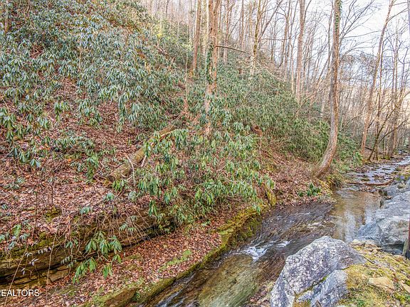 4th image of N Clear Fork Rd Lot 4