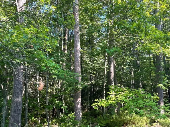 Belfair Dr, Presque Isle, MI 49777