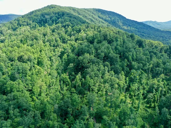 Mill Creek Rd, Sunbright, TN 37872