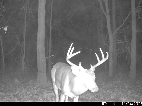 4th image of 118 Cloar Rd