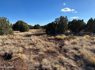 8455 Snowflake Cir, Show Low, AZ 85901