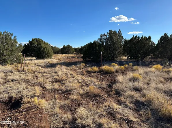 8455 Snowflake Cir, Show Low, AZ 85901