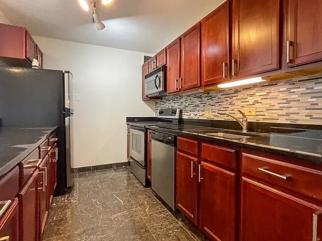 222 E Pearson St #1206 — Photo 2