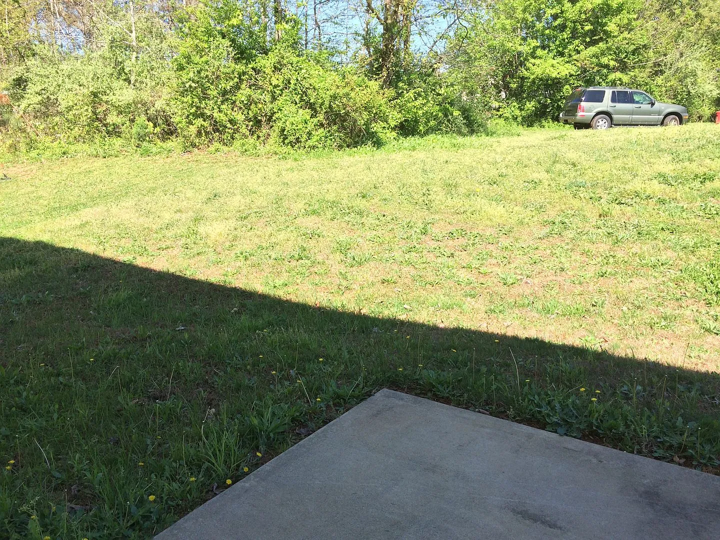 Now pre-leasing! — Photo 2