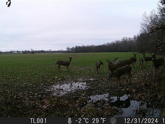 5th image of 0 Bales Rd #27.7