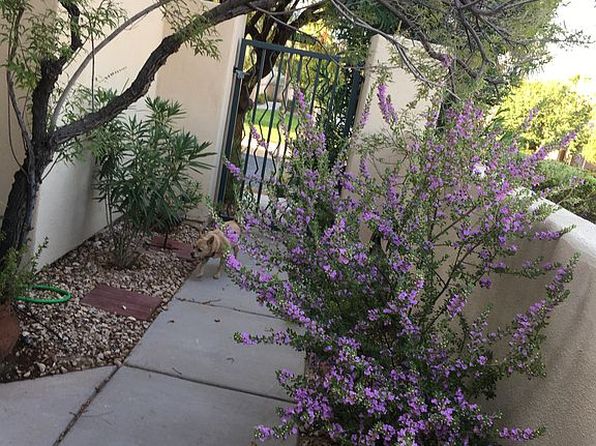 498 Canyon View Way