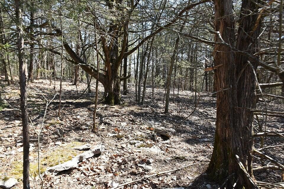 1st image of 000 Burk Road