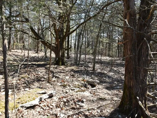 000 Burk Road, Highlandville, MO 65669