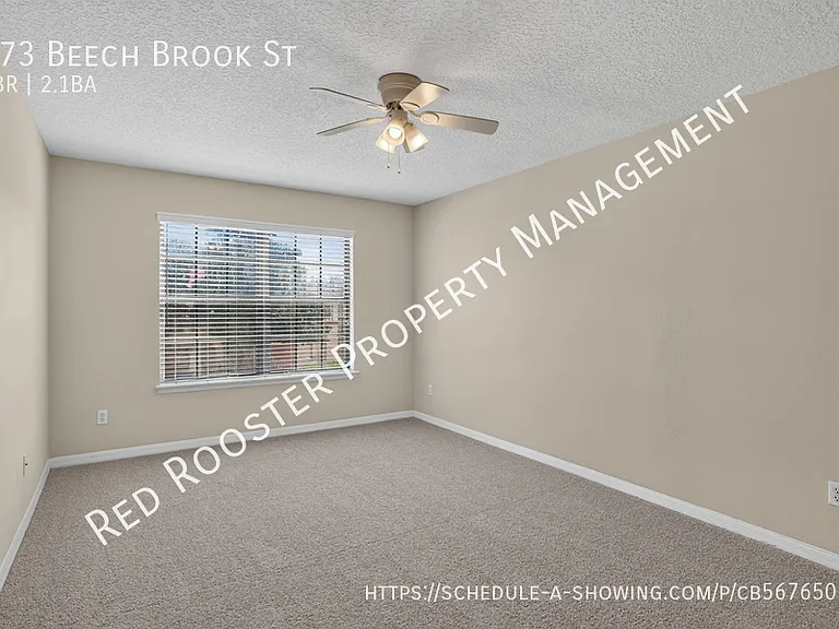 273 Beech Brook St — Photo 17
