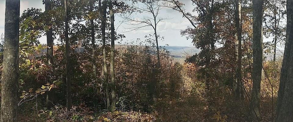 1st image of 484 Greenbriar Overlook Dr #3