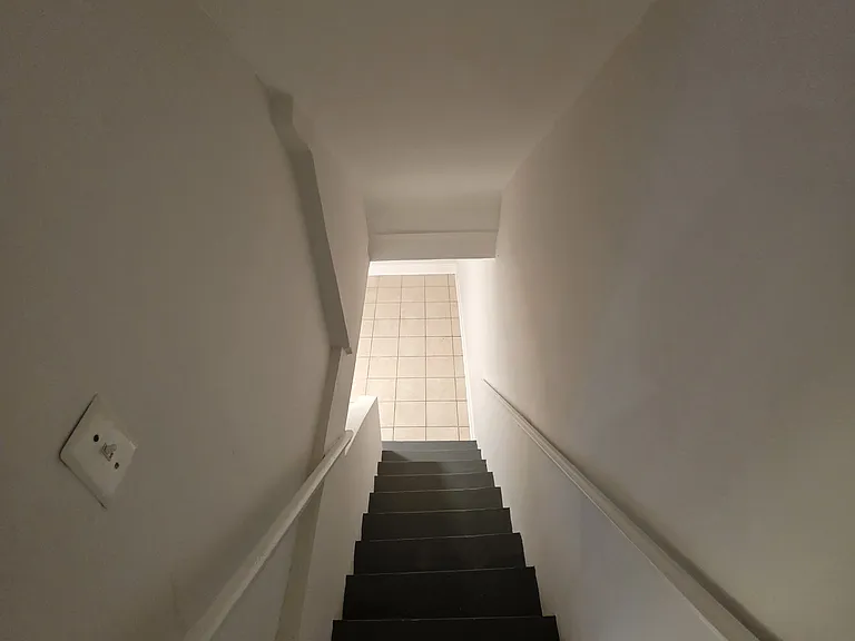 Staircase to Terrace Level 2BR 1BA Self Contained Living Space