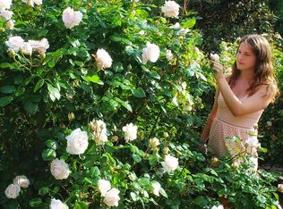 626 Pomegranate Pl, Fort Mill, SC 29708