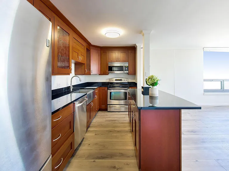 440 N Wabash Ave #4710 — Photo 3