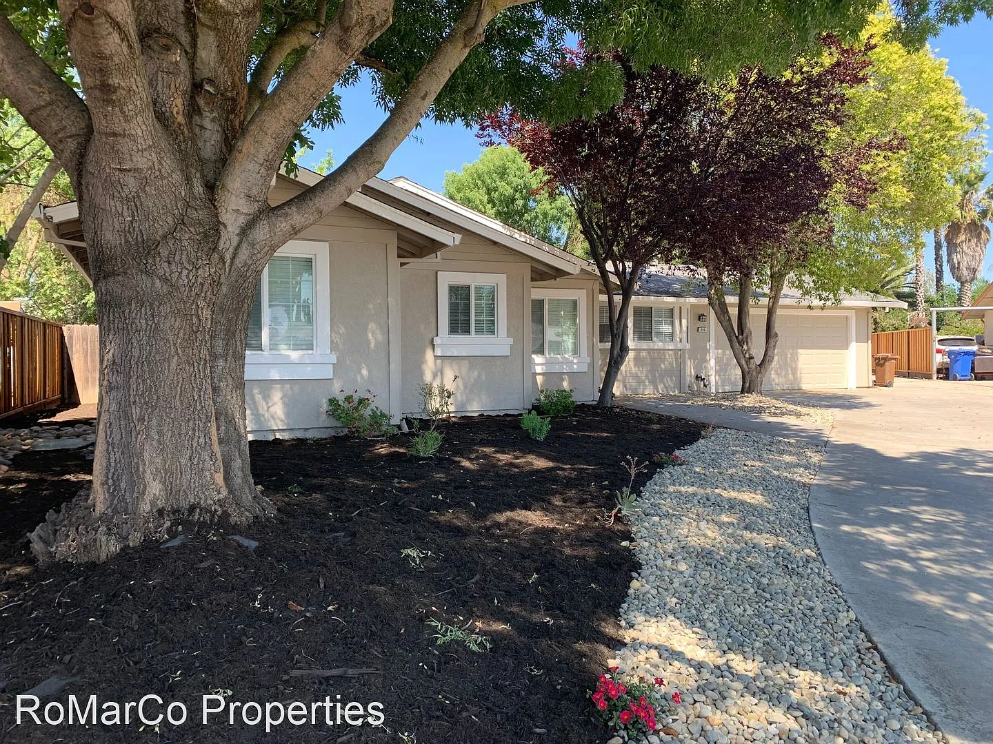 245 Mesquite Ct photo 1
